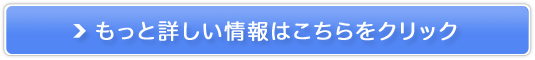 �R�X���f�R���e AQ �g���x���L�b�gII�~�j�T�C�Y �X�L���P�A�Z�b�g �̔��T�C�g��